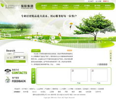 數(shù)字化轉(zhuǎn)型的關(guān)鍵 昆山企業(yè)受益于定制網(wǎng)站開發(fā)與全方位IT服務(wù)